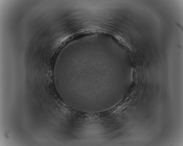 X0000091880822200709121412