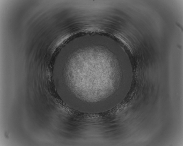 X0000091880823200709121412