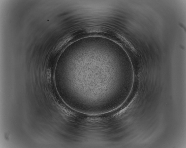 X0000091880825200709121412