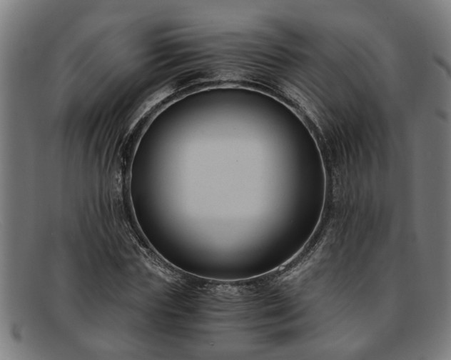 X0000091880827200709121412