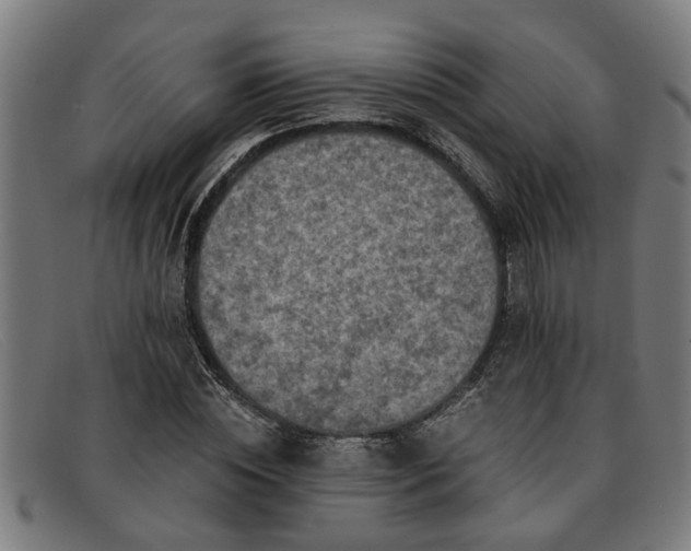 X0000091880828200709121412