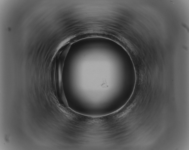 X0000091880830200709121412