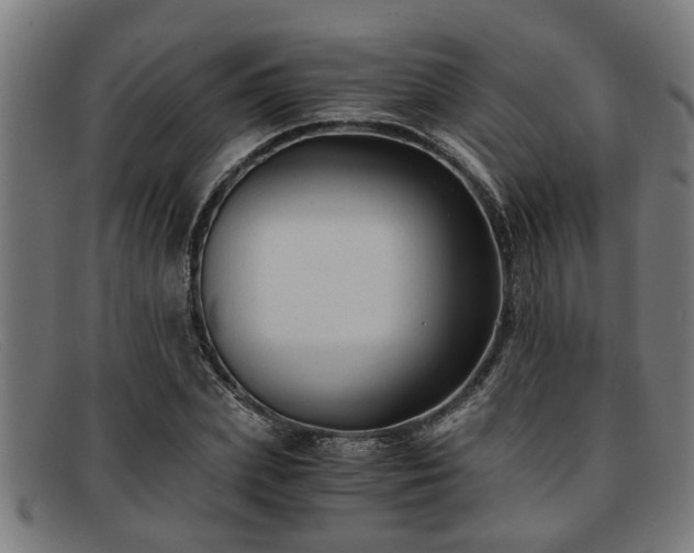 X0000091880831200709121412