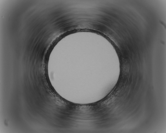 X0000091880832200709121412