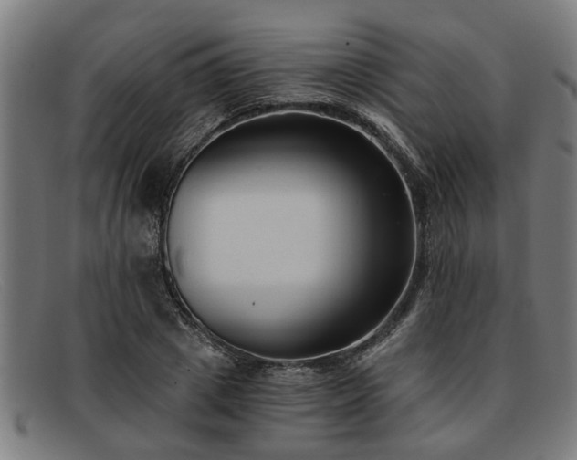 X0000091880833200709121412