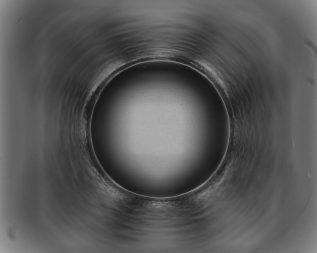X0000091880835200709121412