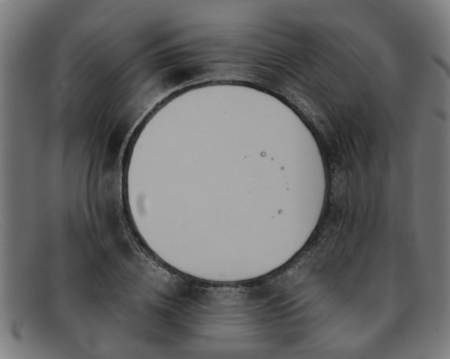 X0000091880836200709121412