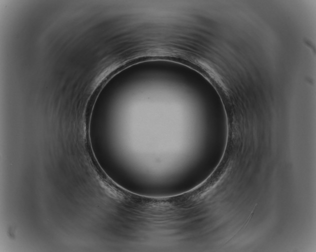 X0000091880837200709121412