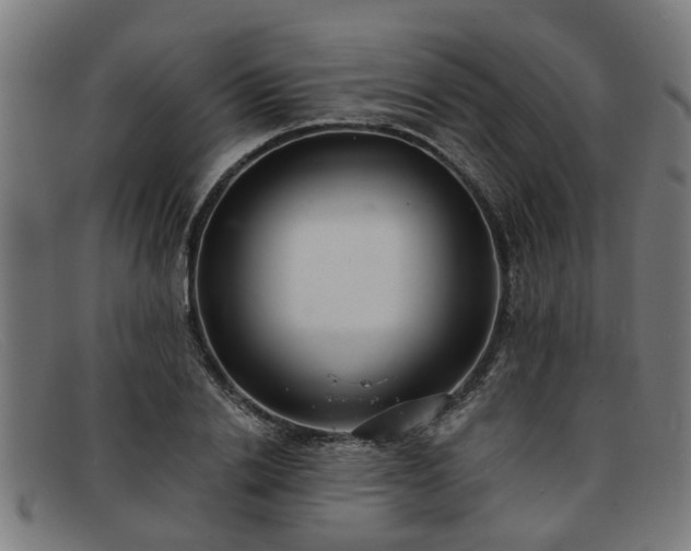 X0000091880838200709121412