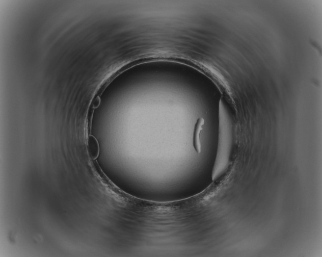 X0000091880839200709121412