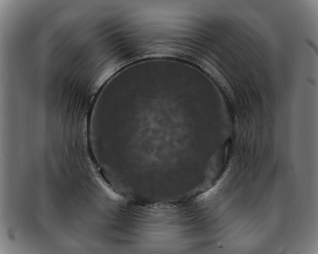 X0000091880842200709121412