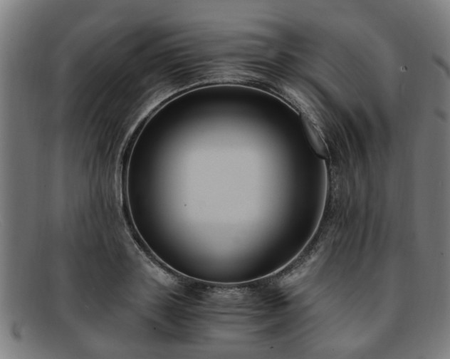 X0000091880843200709121412