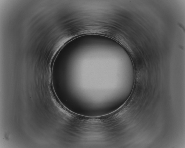 X0000091880844200709121412