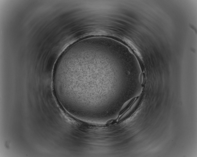 X0000091880845200709121412