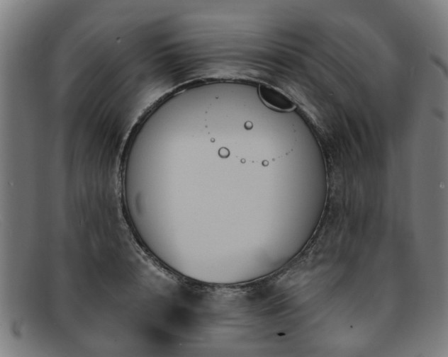 X0000091880848200709121412