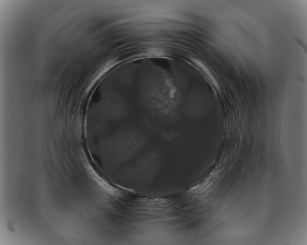 X0000091880851200709121412