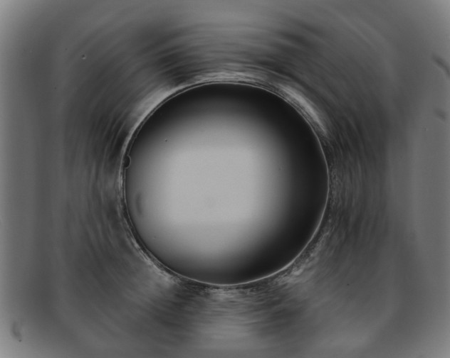 X0000091880852200709121412