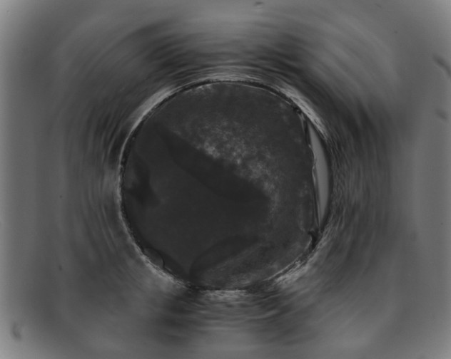 X0000091880853200709121412