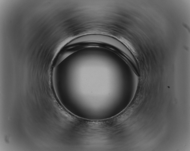 X0000091880854200709121412