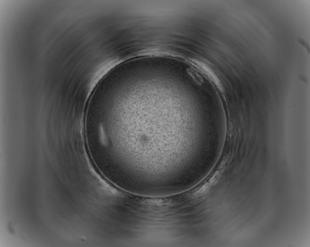 X0000091880855200709121412