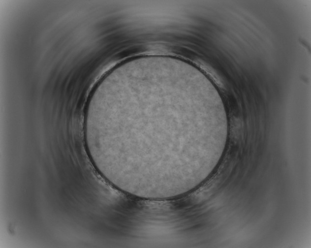 X0000091880856200709121412