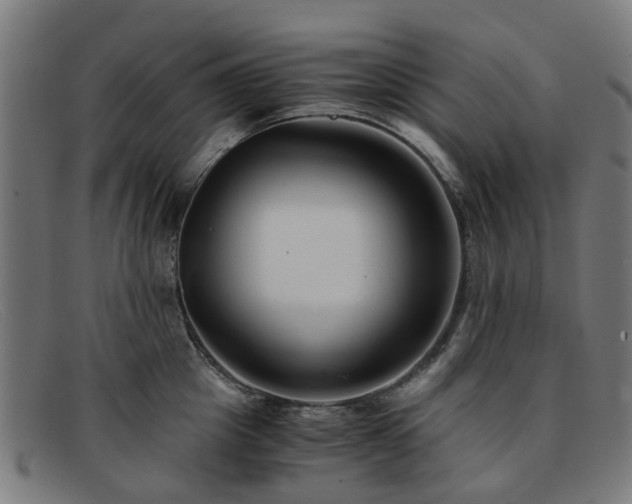 X0000091880857200709121412
