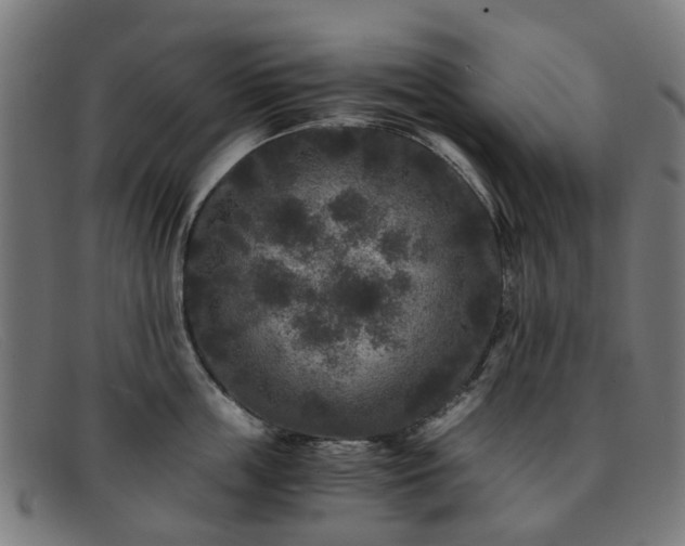 X0000091880859200709121412