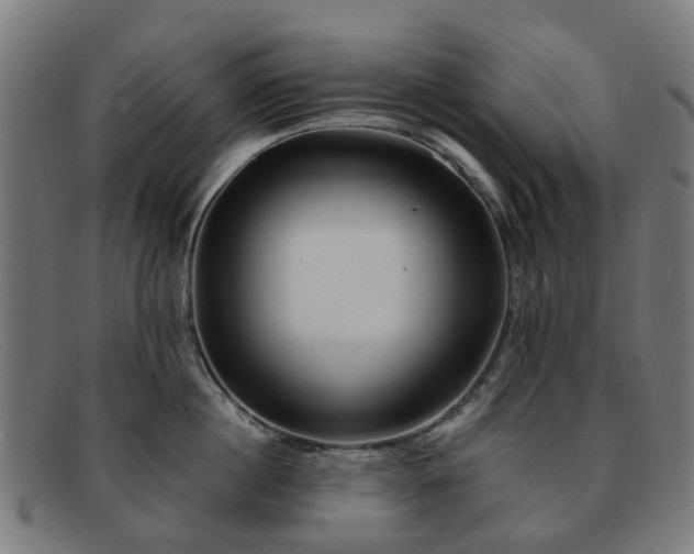 X0000091880860200709121412