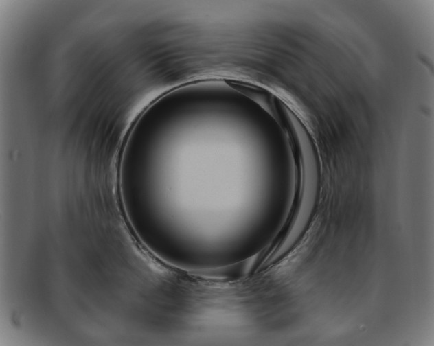 X0000091880862200709121412