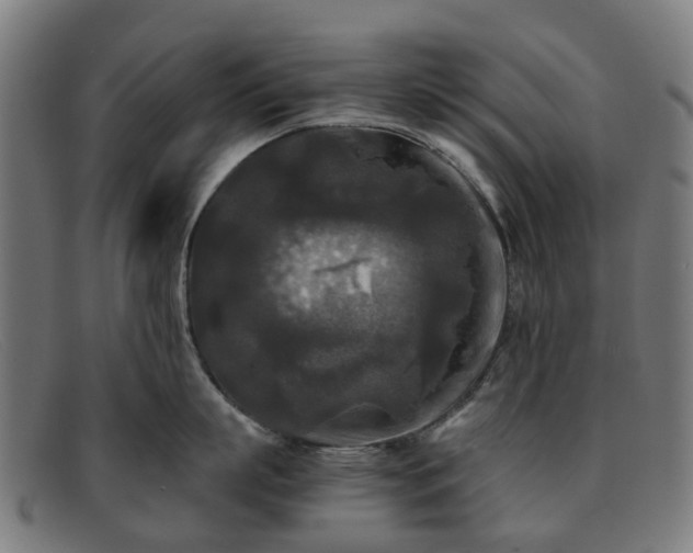 X0000091880863200709121412