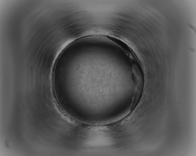 X0000091880864200709121412