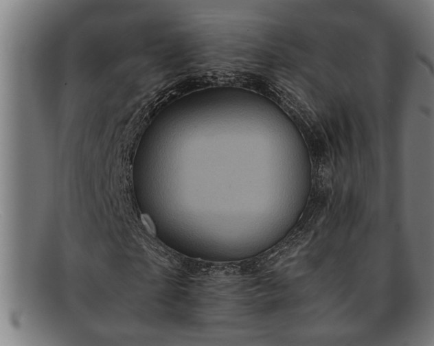 X0000091880865200709121412