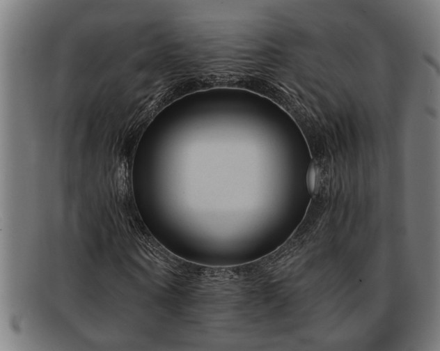 X0000091880866200709121412