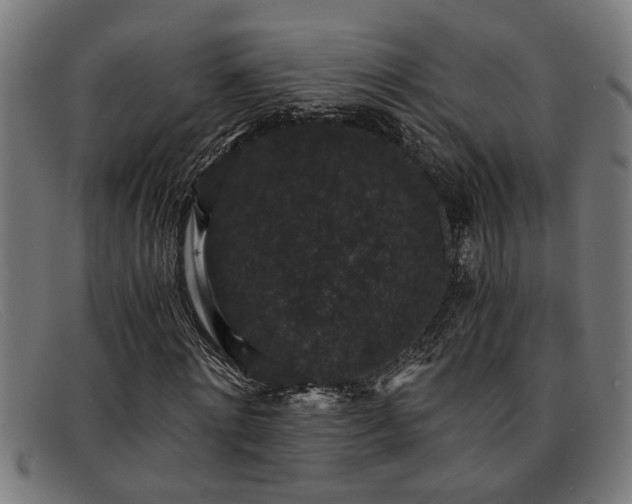 X0000091880868200709121412