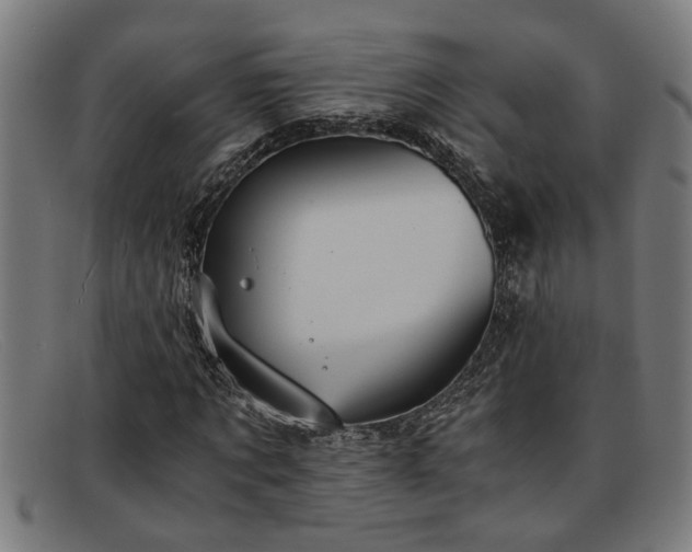 X0000091880869200709121412