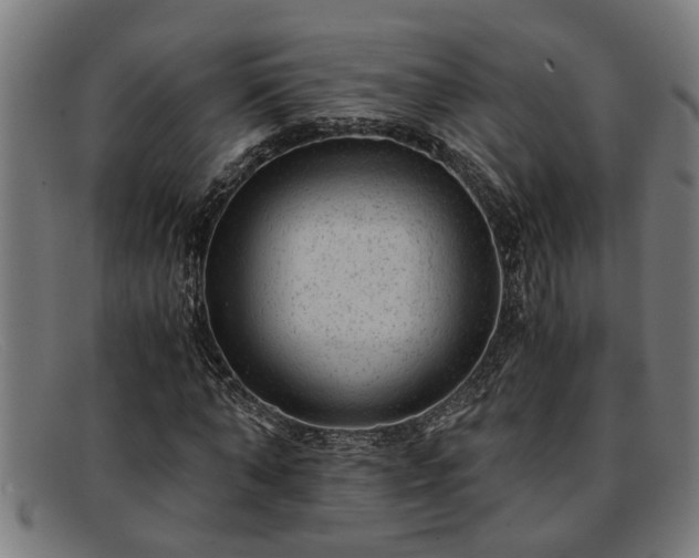 X0000091880870200709121412