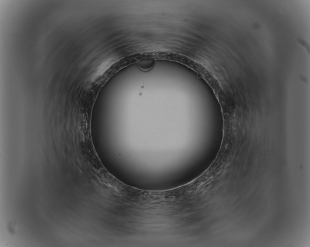 X0000091880871200709121412