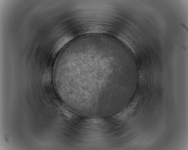 X0000091880874200709121411