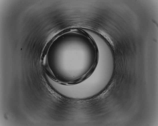 X0000091880876200709121411
