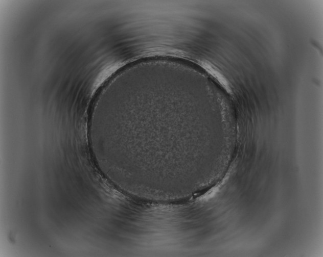 X0000091880877200709121411