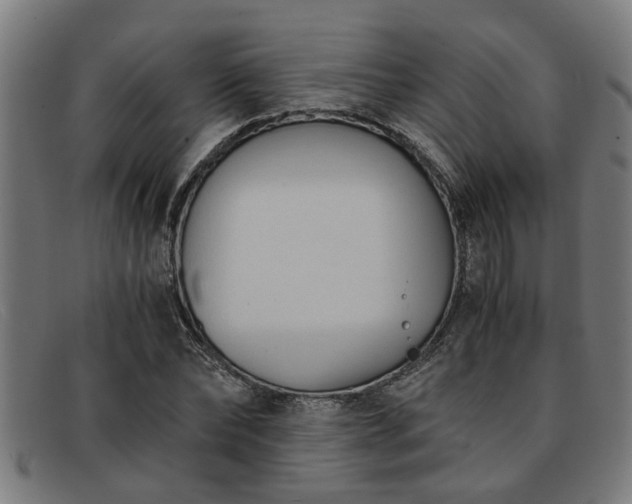 X0000091880878200709121411
