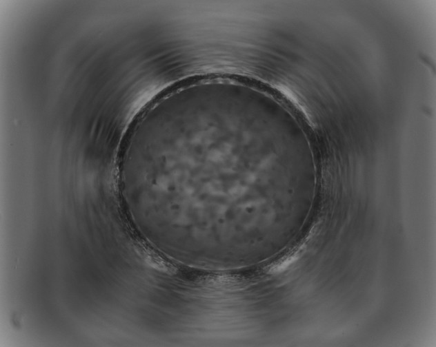 X0000091880879200709121411