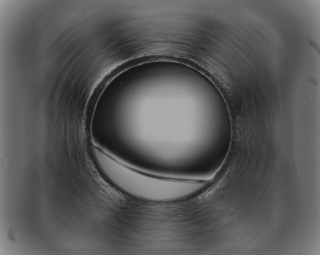 X0000091880880200709121411