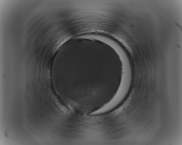 X0000091880881200709121411