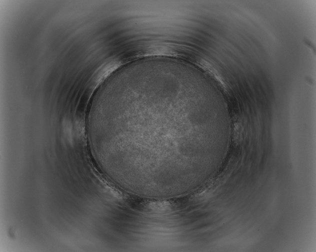 X0000091880882200709121411