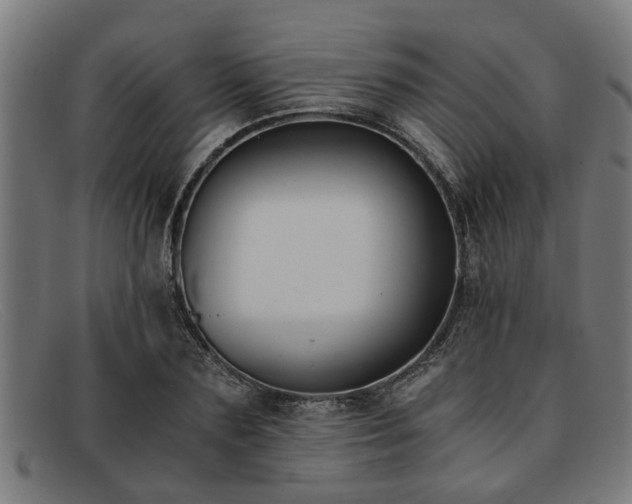 X0000091880883200709121411