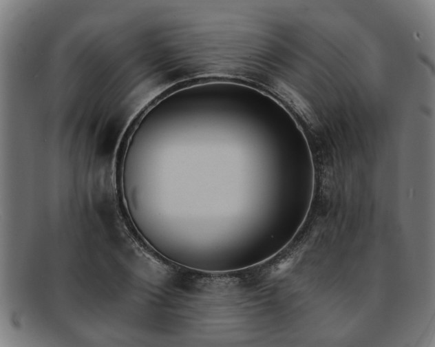 X0000091880884200709121411