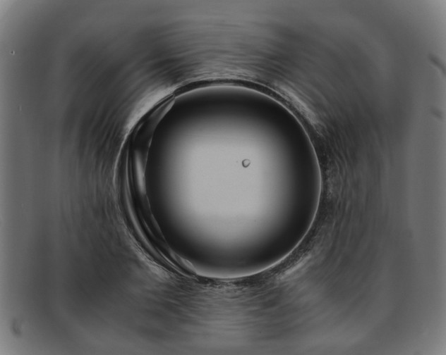 X0000091880885200709121411