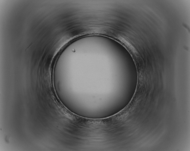 X0000091880886200709121411