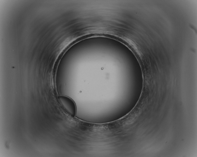 X0000091880887200709121411